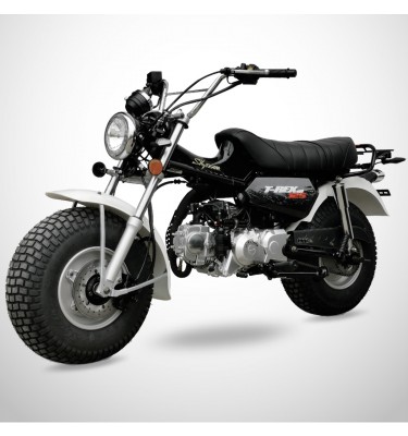 Moto T-REX 125 - SKYTEAM - Noir