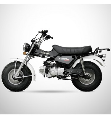 Moto T-REX 125 - SKYTEAM - Noir