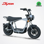 Moto électrique DAX E-WAT 1200W - SKYTEAM - Gris