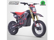 Moto enfant électrique RX 1000W - DIAMON MOTORS - Édition 2024 - Rouge