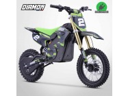 Moto enfant électrique RX 1300W - 12/10 - DIAMON MOTORS - Édition 2024 - Vert
